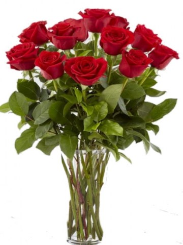 12 rosas de tallo large us112